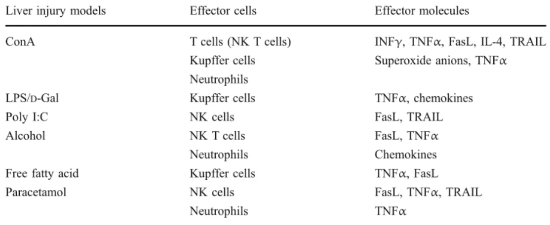Table 1 Most important im- im-mune effector cells and effector molecules involved in different forms of liver injury