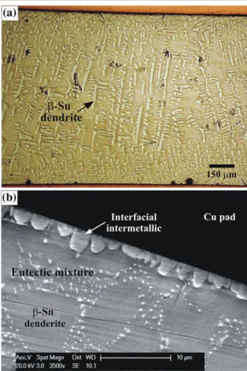 Fig. 1. (a) Optical microscopy image showing a global view of the distribution of b-Sn dendrites and (b) SEM micrograph showing the microstructures near the interface of bulk solder and Cu substrate of a SAC405/Cu solder joint.