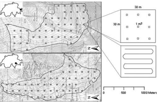 Fig. 1 On the left, the pasture areas in Guarda (top) and Mesocco (bottom) showing the boundary and the systematically located plots