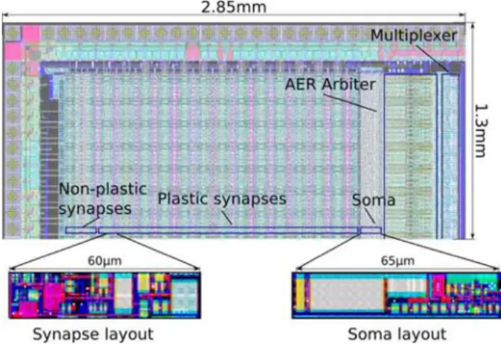 Fig. 3 Layout section of the spike-based learning chip: an array of 128 I&amp;F neurons, represented by the ‘‘Soma’’ block, is connected to 128 rows of 32 AER synapses (28 with plasticity, and 4 nonplastic synapses with fixed weights)