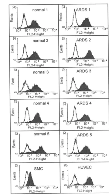 FIG. 4.  Profiles of yon Willebrand factor (vWF)  (A) and  acetylated  low-density lipoprotein  (Ac-LDL) (B)