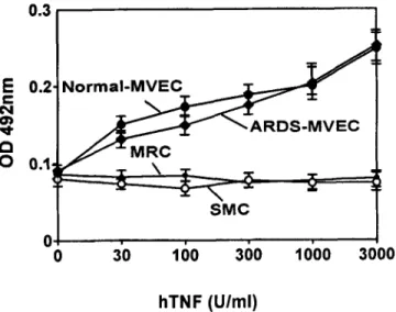 FIG. 6.  Inducibility  of ELAM-1  on lung microvascular endothelial  cells  (MVEC). Normal or acute respiratory  distress syndrome (ARDS)-derived  lung  MVEC were  stinmlated  for 4  h with recombinant  human TNF (hTNF)