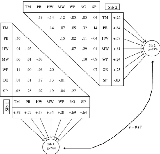 Fig. 3. Correlation matrices and consequential ‘‘g’’ factor loadings with sibling pairs split into independent groups