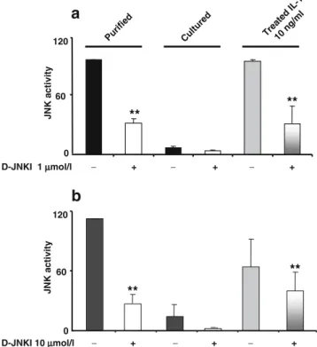 Fig. 3 D-JNKI efficiently prevents c-Jun phosphorylation in pancre- pancre-atic islets