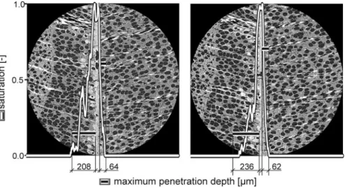 Fig. 9 Saturation and maximum penetration depth in two cross-sections of a specimen containing a bond line of an UF adhesive