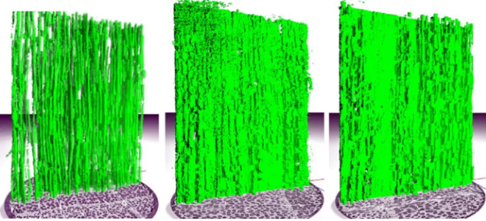 Fig. 6 Extracted bond lines for PUR-2 (0°), UF-1 (75°), and PVAC-2 (90°) from left to right