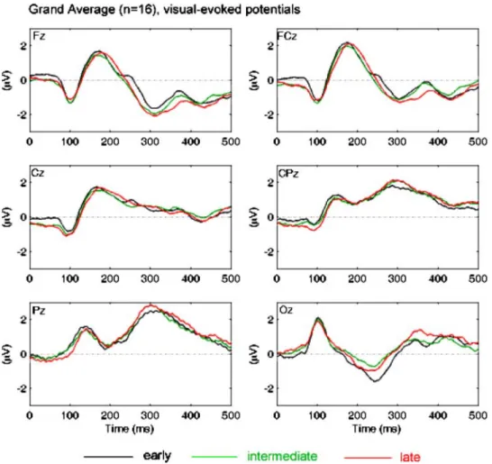 Figure 2. Grand average (n = 16) of visual-evoked potentials (VEPs). VEPs during three learning stages (“early” – black line, “intermediate” – green line, and “late” – red line) are shown time-locked to the onset of the imperative stimuli (time epoch: 0–50