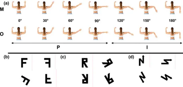 Fig. 2 Stimuli for the mental rotation task with BPs and EOs. (a) Represents the BP stimuli and (b–d) the EO stimuli