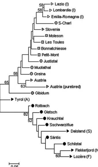 Fig. 4 Individuals plot of admixture constructed with the software D ISTRUCT displaying the results of the analysis performed with S TRUCTURE 2.0, assuming K = 3