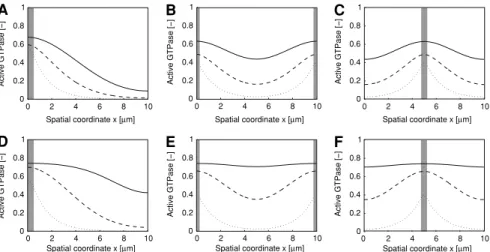 Fig. 5 Spatial gradients of GTPase activity for a three-step cascade with sequential activation of GEFs