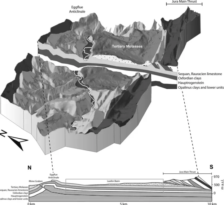 Fig. 2 Conceptual 3D-Model of the Laufen Basin with a simplified illustration of the geological settings, including the main hydrogeological units as well as the Birs valley corridor with unconsolidated Quaternary fluvial deposits