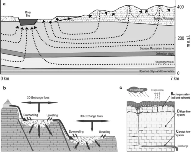Figure 3a illustrates the different scales of the flow systems within the Laufen Basin by a schematic  cross-section