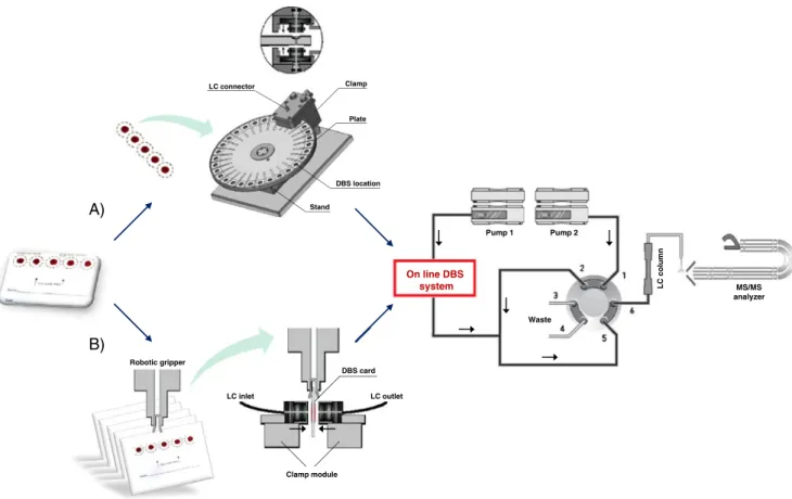 Fig. 2 Illustration of two automated on-line DBS instruments, the automated on-line DBS prototype developed by Déglon et al