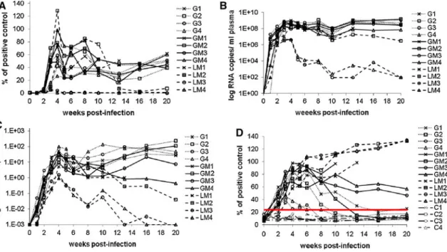 Fig. 3 FeLV western blot analysis of plasma samples collected at week 0 (prior to challenge) and week 20 p.i