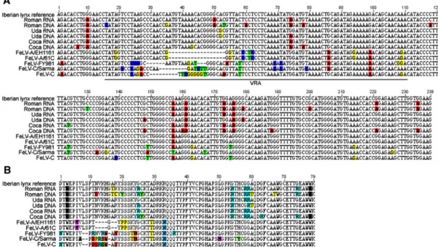 Fig. 1 FeLV sequence variants in the Iberian lynxes. Variations appearing at a frequency [ 0.2% and comparison with variations occurring in highly pathogenic FeLV strains are depicted