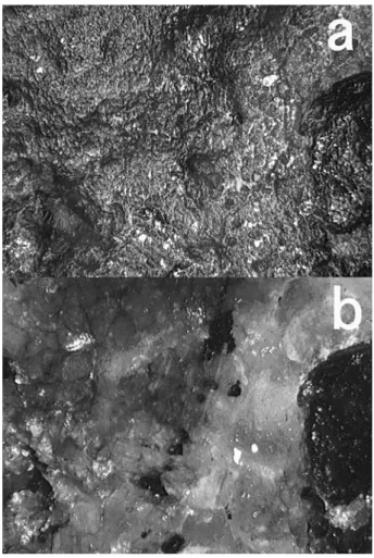 Fig. 3 Surface of Mars meteorite Sayh al Uhaymir 094, natural surface. a Automontage of image stack taken in plane polarized light, mainly light scattered from the surface