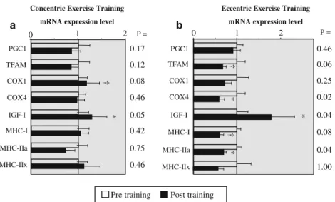 Table 2 Muscle structure before and after 8 weeks of concentric (CET) and eccentric (EET) cycle ergometer training [adapted from (Steiner et al