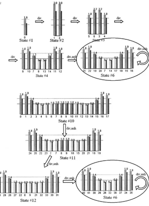 Fig. 7. A cell array generating by a metabolic process from one cell
