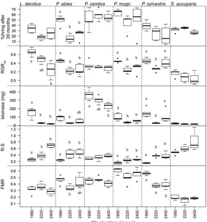 Fig. 2 Seedling characteristics per species (panels) and for three sites (elevations m a.s.l