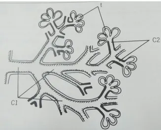 Figure 5: Schéma de la structure de la glande digestive (Owen, 1995). 