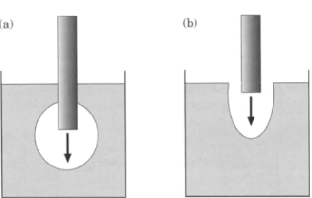 Fig.  1.  Schematic of the fibre positioning and expected  bubble shape.  (a)  Confined conditions: the fibre tip is  placed 2 cm  below the water surface