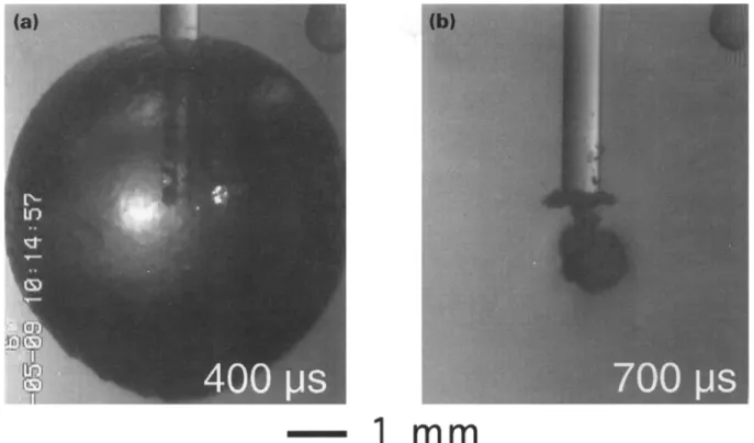 Fig. 4.  Bubble generated  at the tip of an immersed  fibre (600 # m   core diameter, radiant exposure  170 J c m  -2, pulse duration  2 3 0 # s   full  width at half maximum)