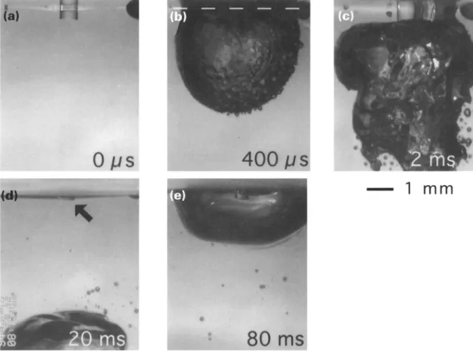 Fig.  5.  Bubble  dynamics  at fibre  tip  0.5  mm  below water surface  (600 #m  core  diameter,  radiant  exposure  170 J  cm -2,  pulse  duration  230 #s  full  width  at  half  maximum)