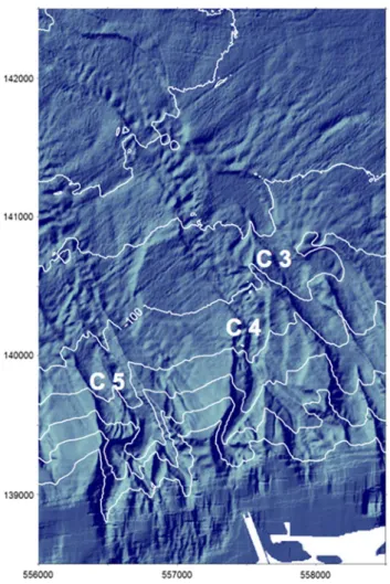 Fig. 6 Sections of the modern Rhone River Canyon C8, at water depths (canyon bottom) of 50 m (S1), 100, 150, 200 and 250 m (S5)