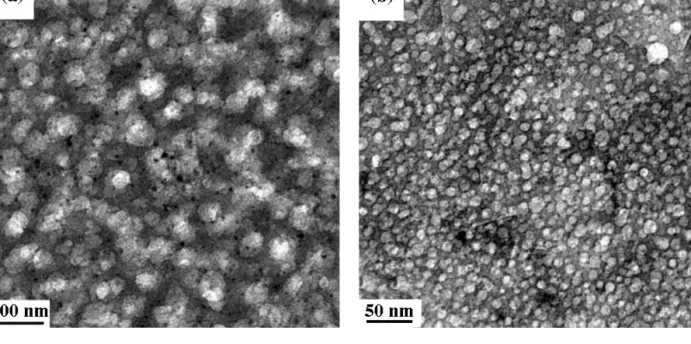 Figure 8 TEM of porous silicates prepared from MSSQ blends with (a) 30 wt% 100% trimethylsilylated 4 pseudo-generation HBP and (b) 30 wt%