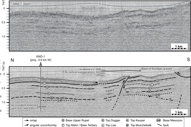 Fig. 10. Reflection seismic line traversing a compressively/transpressively reactivated extensional flexure of Paleogene age
