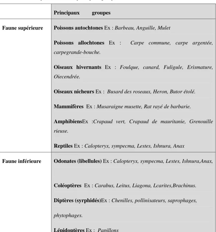 Tableau N°04: Représentation des principaux groupes constituant la faune du lac Oubeira.(07)