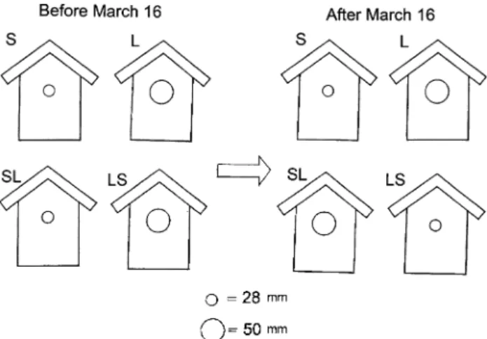 Fig. 1 The experimental set-up comprised two control nest boxes (S and L) and two experimental treatment nest boxes (SL and LS), whose entrance sizes were exchanged on March 16 (drawing: Tuvia Kurtz)