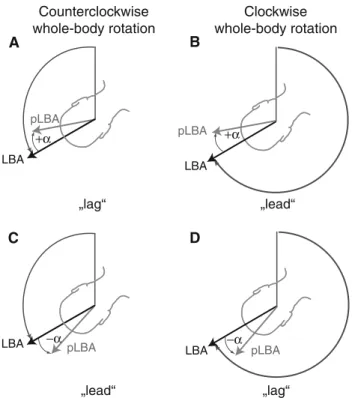 Fig. 2 Examples of perceived longitudinal body axis (pLBA) devi- devi-ations with the subject in rear view