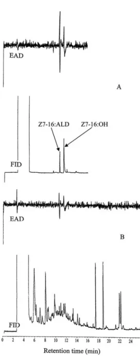Fig. 1 Simultaneous EAD and FID responses of a male CRG antenna to (A) synthetic Z7-16:Ald and Z7-16:OH (10 ng, 1:3 ratio, v/v); (B) ef ﬂ  u-via trapped from 15 virgin female CRG (3–13 days old) on an SE-30 capillary column