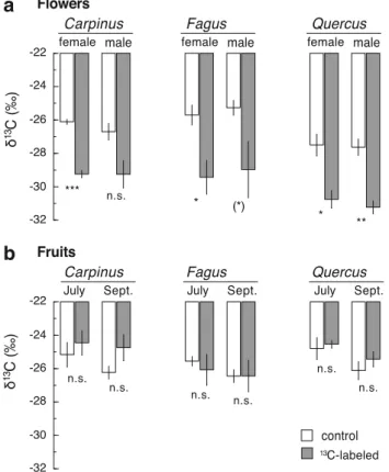 Fig. 4 d 13 C values of purified starch in sapwood of branchlets of previously CO 2 -enriched ( 13 C-depleted) and ambient CO 2 control trees (control) of Carpinus, Fagus and Quercus, sampled on 3 April and 7 September 2009