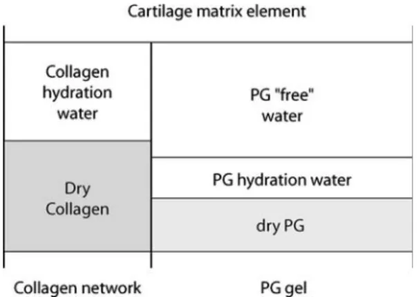Fig. 1 Cartilage matrix elements are considered to contain a collagen network component and a PG gel component