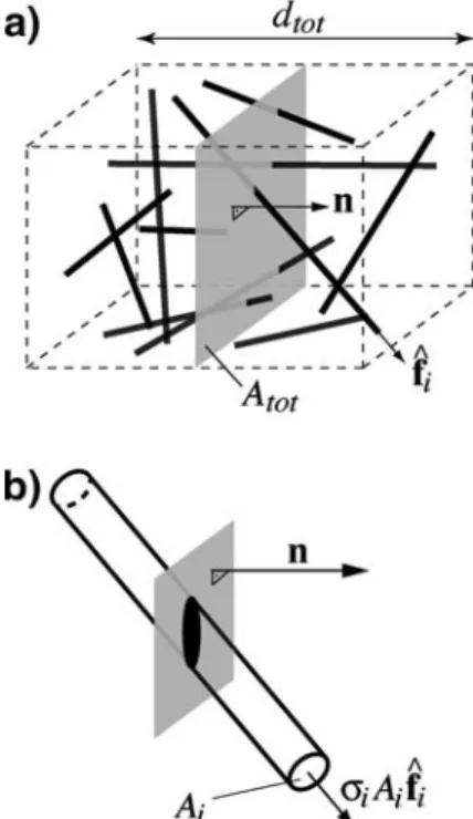 Fig. 2 a Sketch of matrix control volume containing collagen fibers (black bars). For each fiber orientation (ˆ f i ), a single fiber stress ( σ i ) is  as-sumed