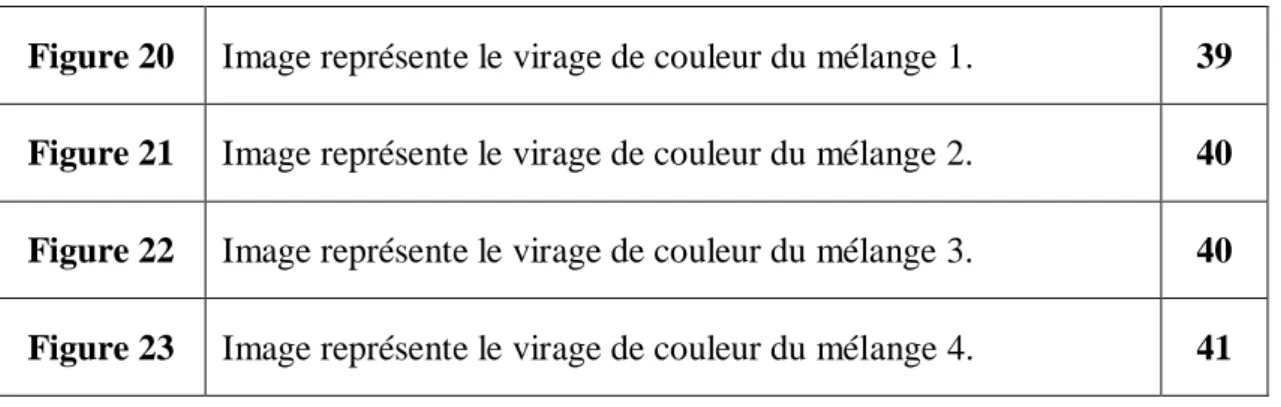 Figure 20  Image représente le virage de couleur du mélange 1.  39  Figure 21  Image représente le virage de couleur du mélange 2