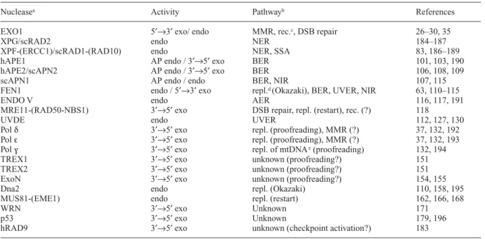 Table 1.  Eukaryotic DNA repair nucleases.