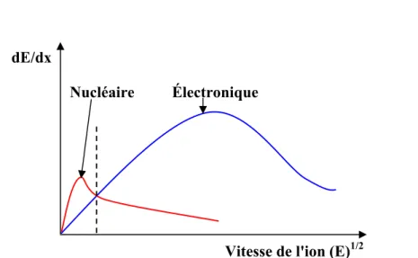 Figure I.2: Variation des pertes d’énergie nucléaire et électronique en fonction de la vitesse d’ion