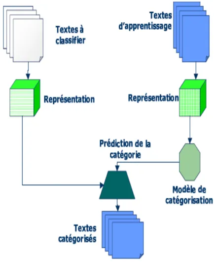 Figure 2.1  La tâche de catégorisation 
