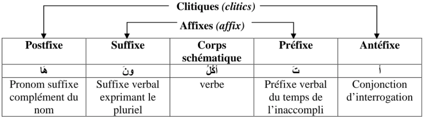 Tableau 3.5 : Décomposition d’un mot arabe 
