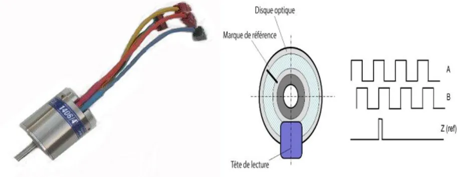 Figure I.6 : Un codeur optique utilise un capteur optique et un disque optique pour mesurer les angles  I.3.3