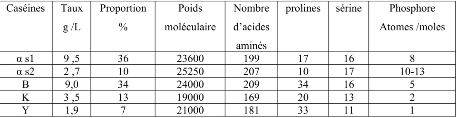 Tableau 2 : les différents caractères de ces protéines (Jouan, 2002) Caséines Taux g /L Proportion% Poids moléculaire Nombre d’acides aminés