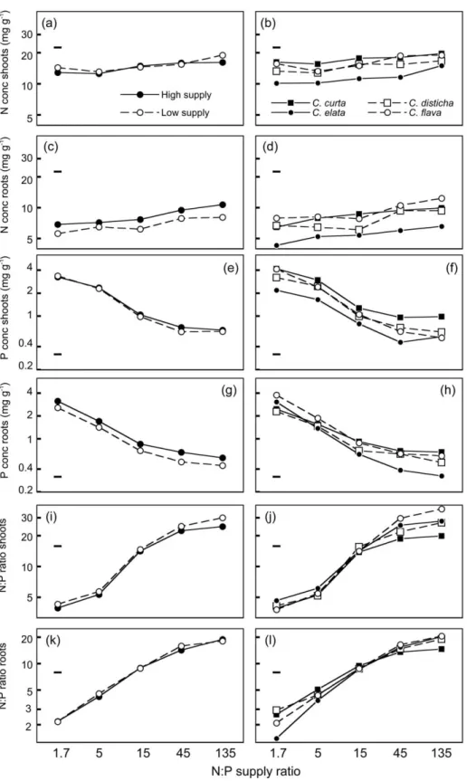 Figure 6. Concentrations of N and P as well as N:P ratio of shoots and roots 共 all on a log scale 兲 of four Carex species after 13 weeks of growth in nutrient solutions with ﬁve different N:P supply ratios and two levels of overall nutrient supply 共 experi