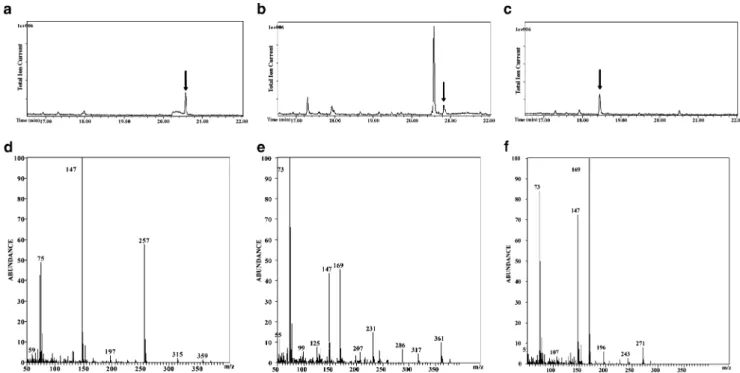 Fig. 2 SDS-PAGE analysis of cell extracts of E. coli strains after induction with 1 mM IPTG
