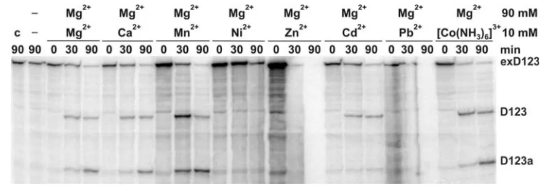 Fig. 5 trans-Cleavage assays in the presence of 90% Mg 2+ and 10 mM of another metal ion.