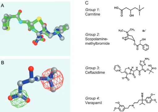Figure 1. Characterization of the substances used as potential inhibitors of hOCTN2. (A) Superposition of L-carnitine (blue) on cephaloridine (green), showing the structural similarity