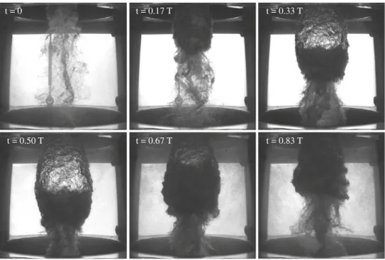 Figure 1 shows a high-speed visualization of the oscillating vortex rope observed at the runner exit during full load or overload pressure surge