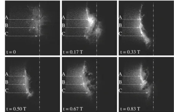 Fig. 8 Draft tube flow with fluorescent particles recorded with the PIV system. The pictures are uniformly distributed over one period of the pressure oscillation